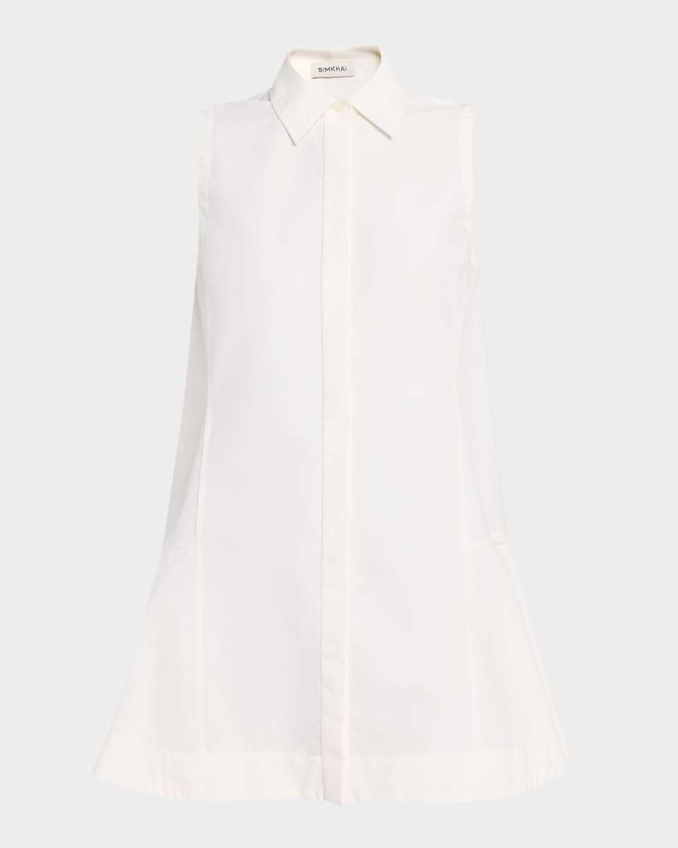 Maggie Pleated Shirtdress